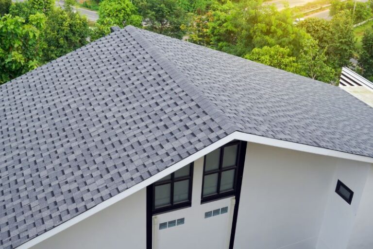 Professional Roof Inspection in Los Angeles, CA